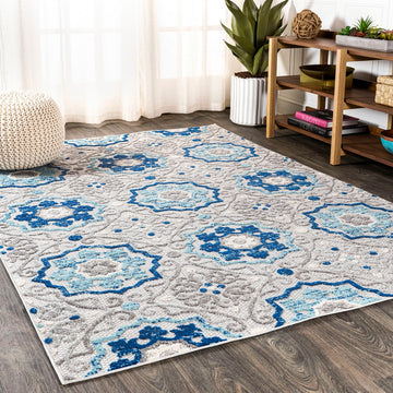Mediterranean Medallion Indoor/outdoor Area Rug